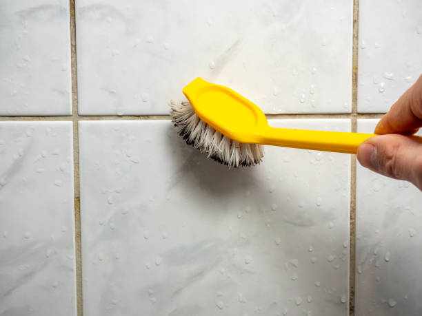 Best Home Mold Removal  in Rio Grande, NJ