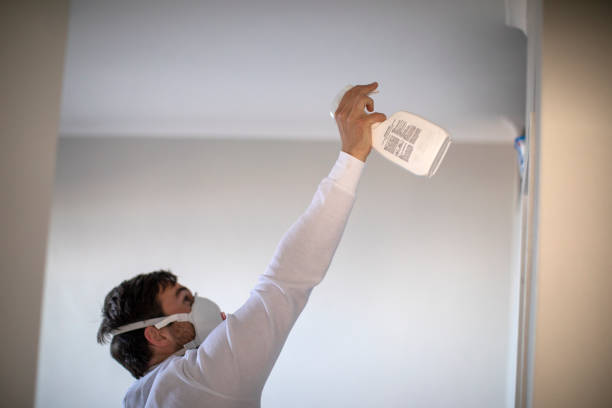 Best Same-Day Mold Removal  in Rio Grande, NJ