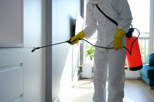 Best Mold Cleaning Services  in Rio Grande, NJ