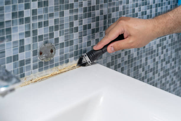 Best Home Mold Removal  in Rio Grande, NJ