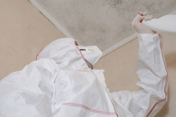 Best Local Mold Removal Service  in Rio Grande, NJ